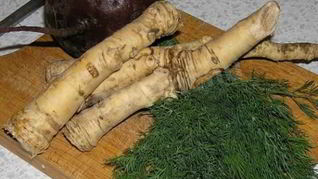 Заготовка хрена на зиму