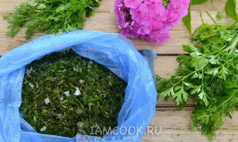 Рецепт заморозки кинзы на зиму