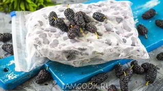 Заморозка шелковицы на зиму