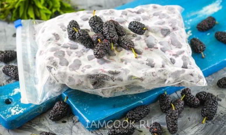 Рецепт заморозки шелковицы на зиму