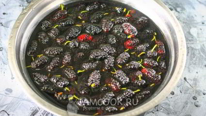 заморозка шелковицы на зиму