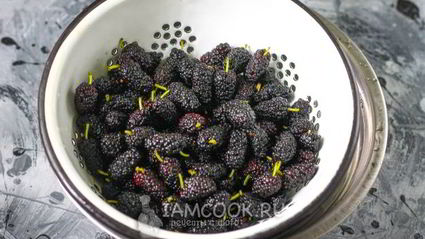 заморозка шелковицы на зиму