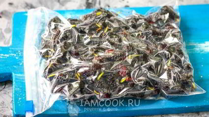 заморозка шелковицы на зиму