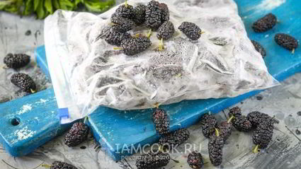 заморозка шелковицы на зиму