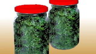 Засолка укропа в банках