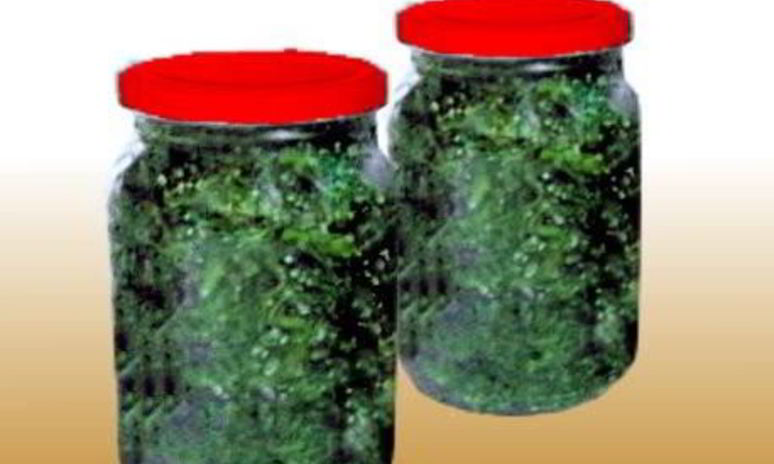 Рецепт засолки укропа в банках