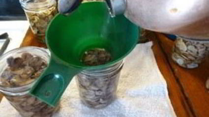 жареные белые грибы на зиму