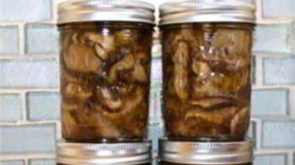 жареные моховики на зиму