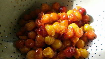 желе из алычи на зиму