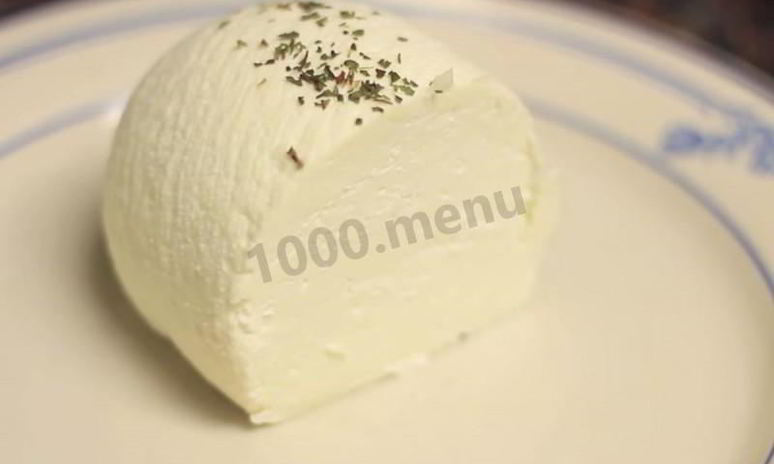Рецепт домашнего сыра из козьего молока