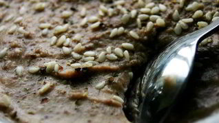 Фасолиево-имбирный паштет