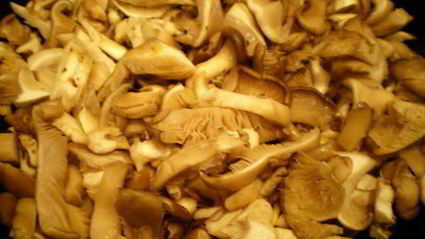 мясные роллы в винно-грибном соусе