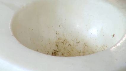 свекольный и морковный хумус