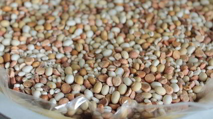 тарт черника-лаванда