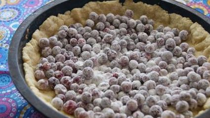 тарт с брусникой и запеченным ганашем из белого шоколада