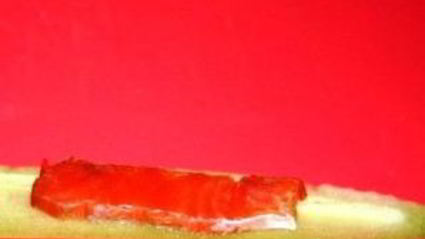 закуска новогодние матрешки